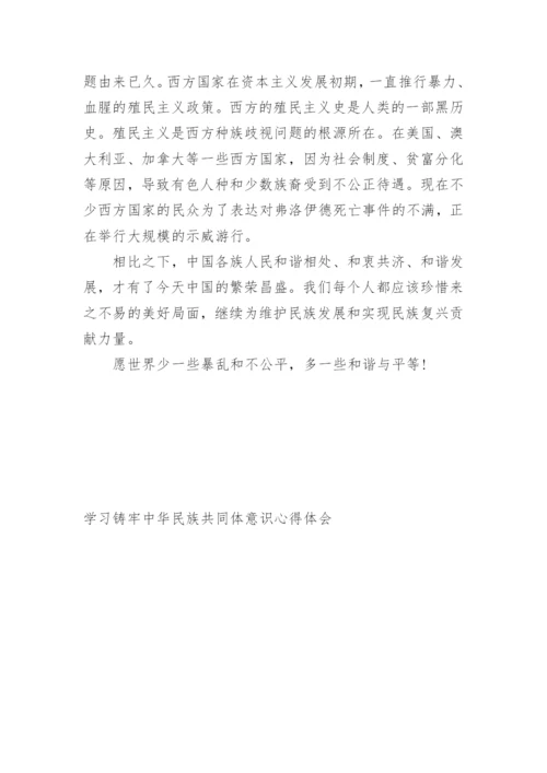 学习铸牢中华民族共同体意识心得体会.docx