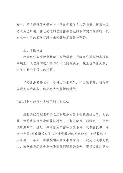 初中教师个人试用期工作总结.docx