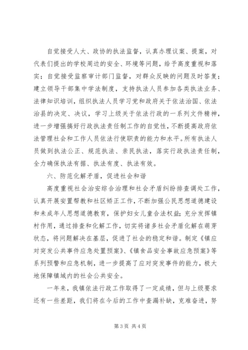 乡镇年度依法行政工作总结_1.docx