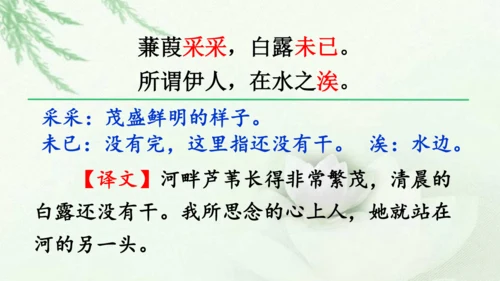 第12课《诗经二首》课件(共51张PPT)
