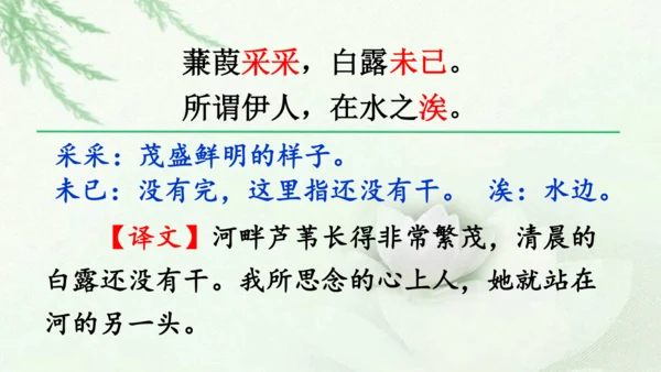 第12课《诗经二首》课件(共51张PPT)