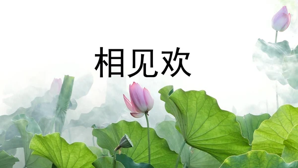 部编版八年级语文上册第6单元《课外古诗词诵读》课件(共45张PPT)