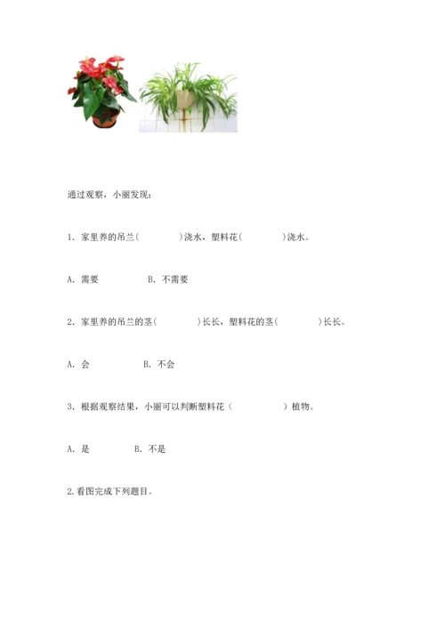 苏教版一年级下册科学期末测试卷附答案下载.docx