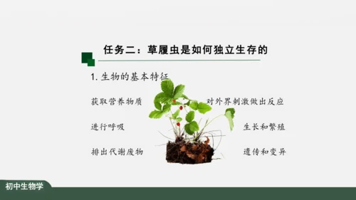 2.2.4 单细胞生物 课件（共24张PPT）