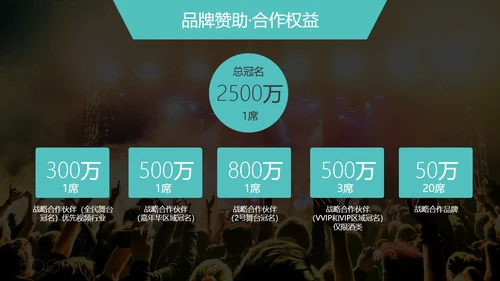 音乐节娱乐晚会招商方案通用PPT模板