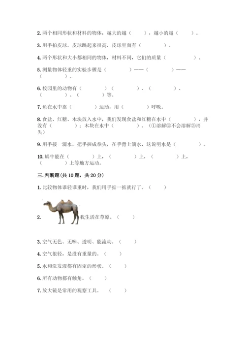 教科版一年级下册科学知识点期末测试卷附参考答案(基础题).docx
