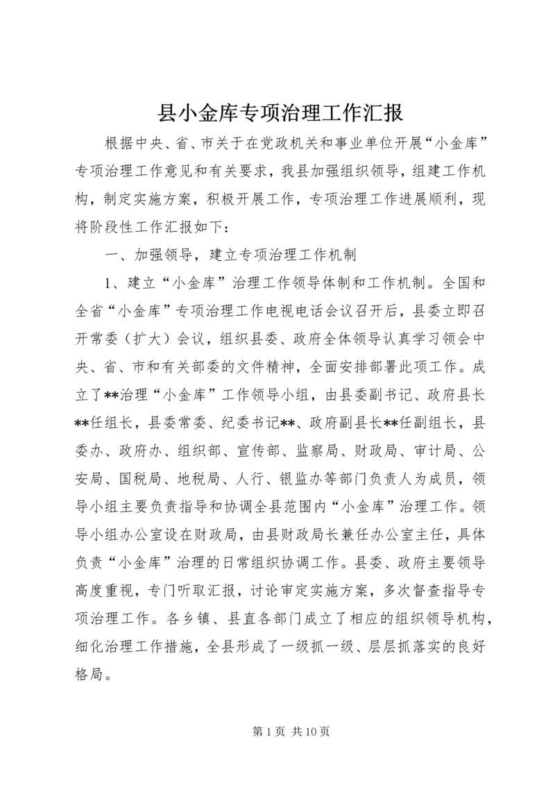 县小金库专项治理工作汇报.docx