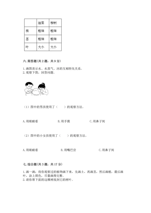 教科版科学一年级上册第一单元《植物》测试卷含完整答案【有一套】.docx