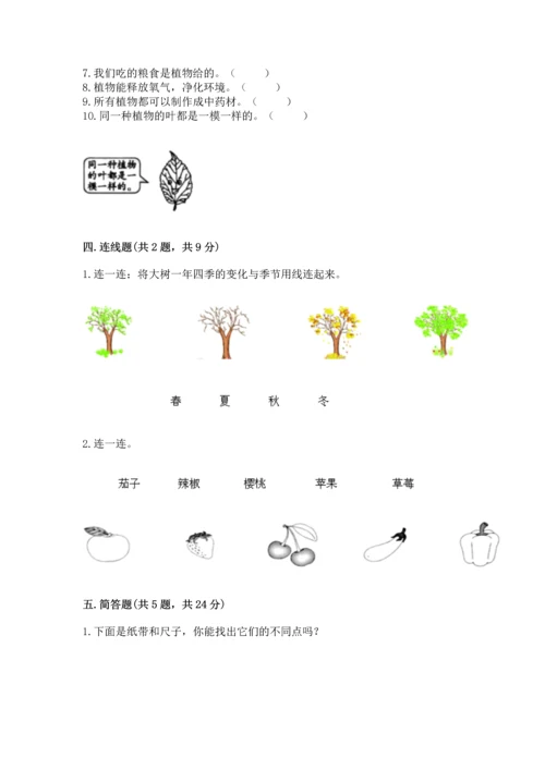 教科版一年级上册科学期末测试卷及参考答案（典型题）.docx