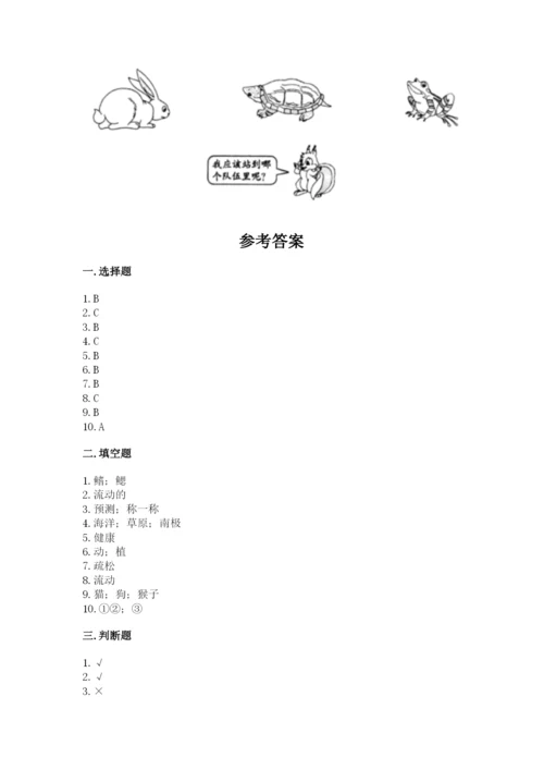 教科版一年级下册科学期末测试卷精品【名师推荐】.docx