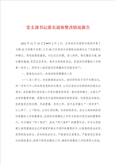 党支部书记落实巡察整改情况报告