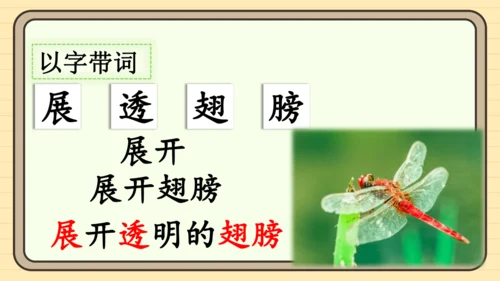12 荷叶圆圆（课件）