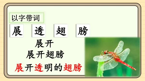 12 荷叶圆圆（课件）