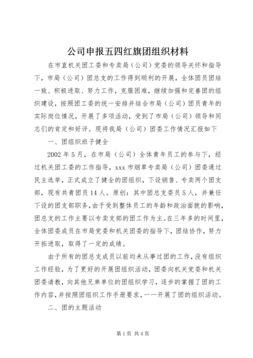 公司申报五四红旗团组织材料.docx