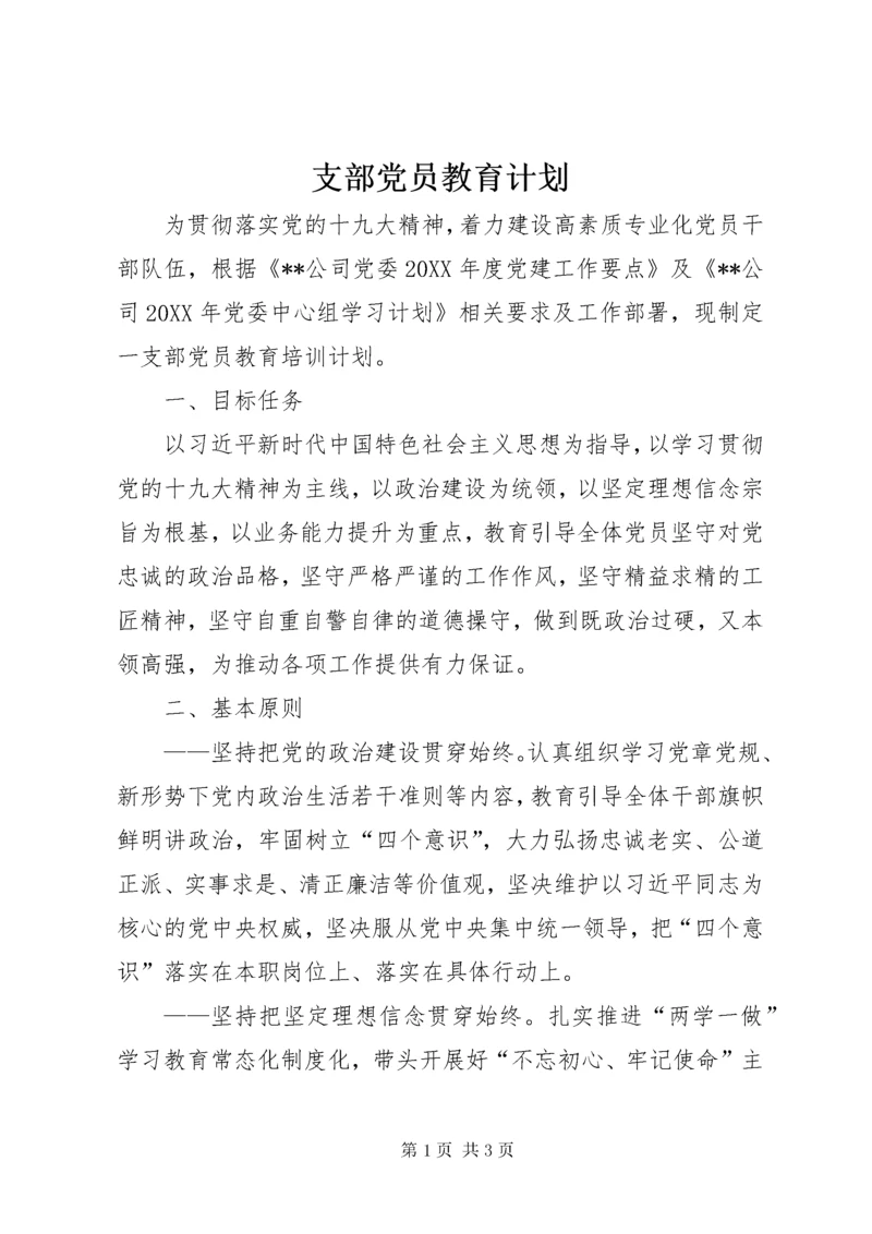 支部党员教育计划.docx