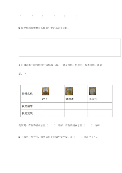 教科版一年级下册科学知识点期末测试卷附参考答案(基础题).docx
