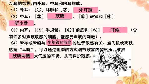 第四单元第五、六章复习课件(共33张PPT)人教版七年级下册