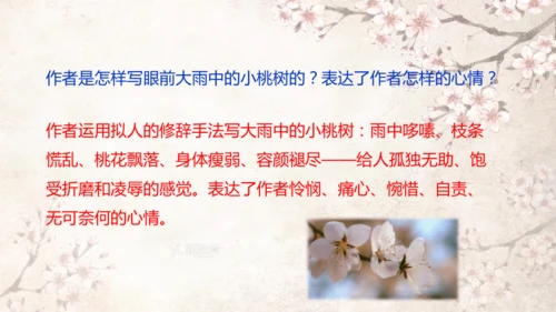 第19课 一棵小桃树 课件(共24张PPT)