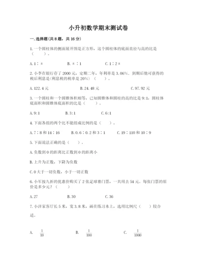 小升初数学期末测试卷精品【实用】.docx