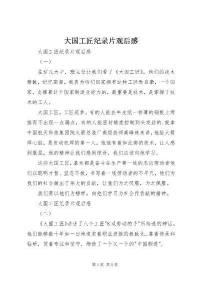 大国工匠纪录片观后感 (2).docx