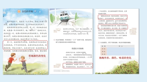 部编版三年级语文上册 第五单元习作例文：我家的小狗  课件