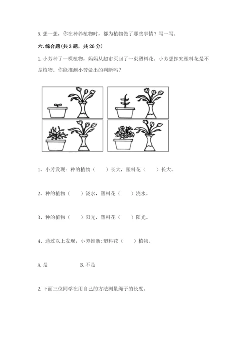 教科版一年级上册科学期末测试卷附参考答案【培优a卷】.docx