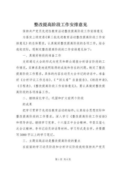 整改提高阶段工作安排意见 (2).docx