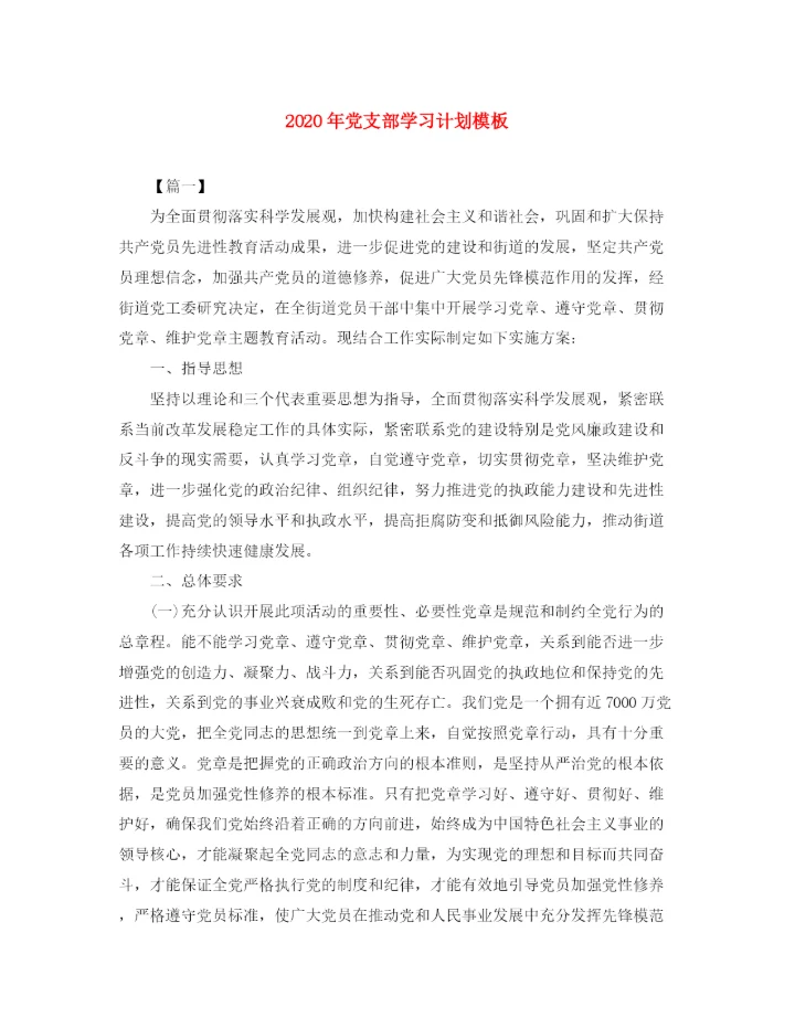 精编之年党支部学习计划模板.docx