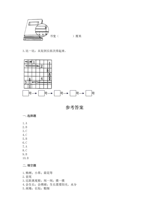 教科版科学一年级上册期末测试卷精品（能力提升）.docx