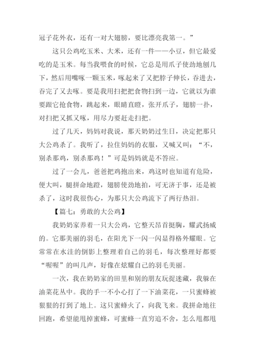大公鸡作文400字.docx