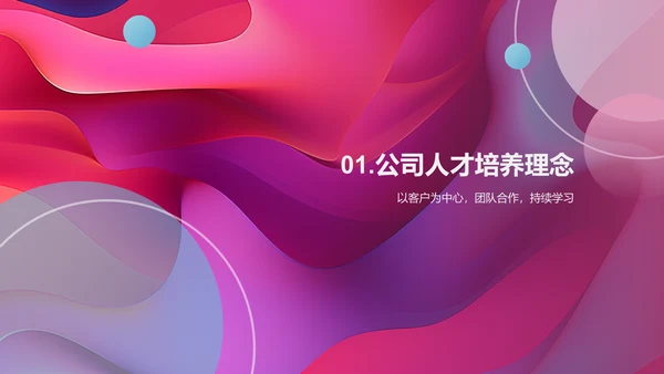 IT互联网公司人才培养计划