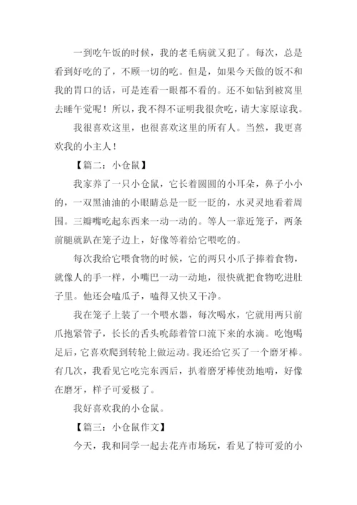 写小仓鼠的作文.docx