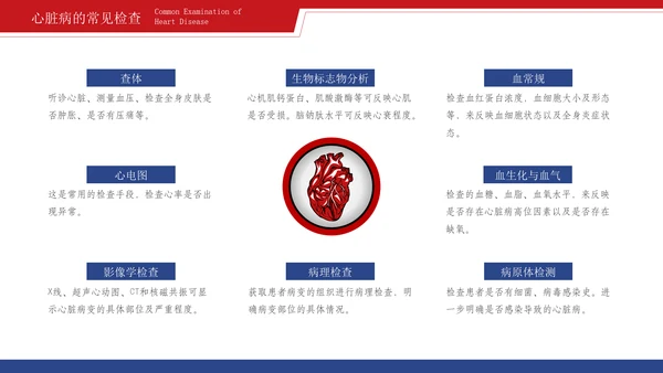 心脏血管疾病的预防和治疗通用PPT模板