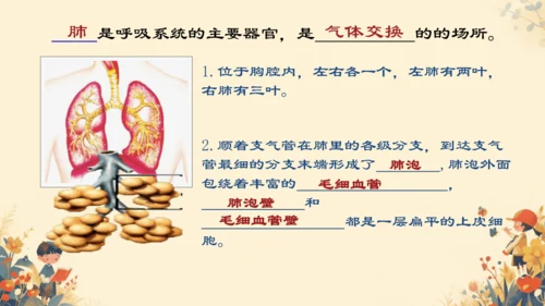 人教版（新课程标准）七年级下册4.3.2 发生在肺内的气体交换课件(共20张PPT)