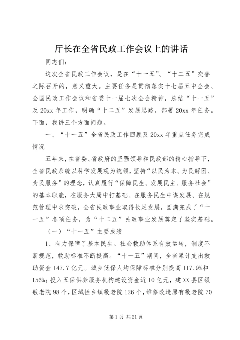 厅长在全省民政工作会议上的讲话.docx