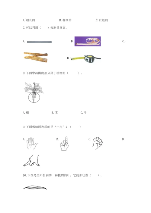 教科版一年级上册科学期末测试卷附答案（突破训练）.docx