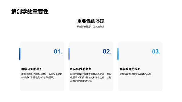 解剖学教学讲座PPT模板