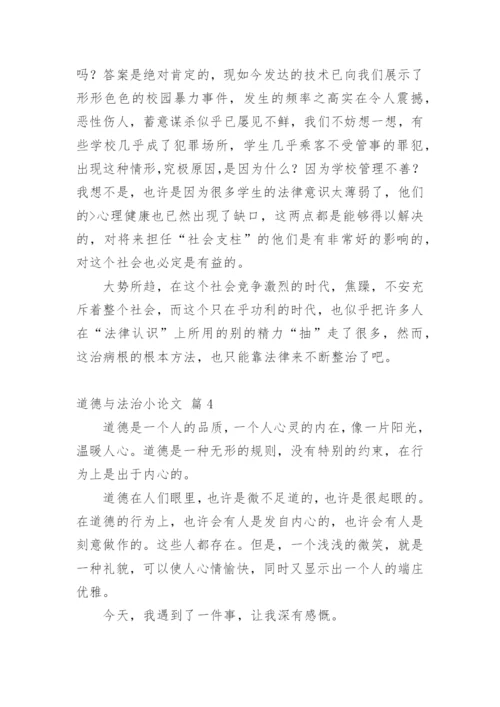道德与法治小论文.docx