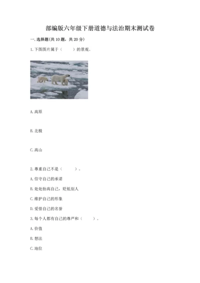 部编版六年级下册道德与法治期末测试卷含答案（能力提升）.docx