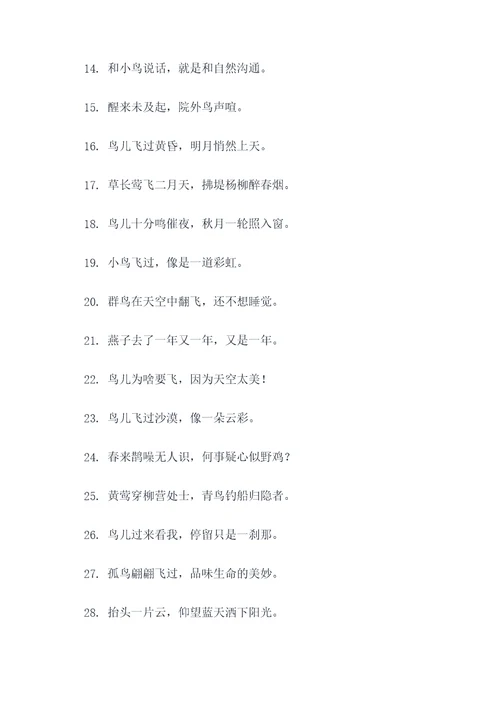 关于鸟的诗句或谚语