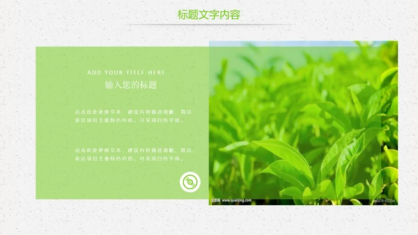 唯美绿色茶园茶文化品茶论道PPT模板