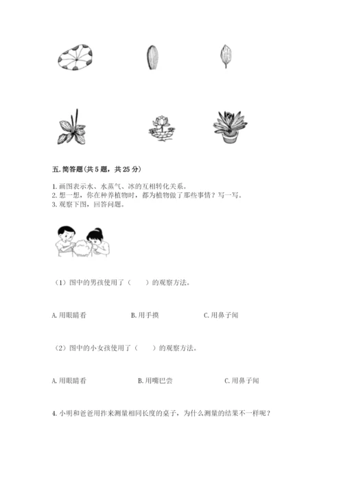 教科版一年级上册科学期末测试卷【达标题】.docx