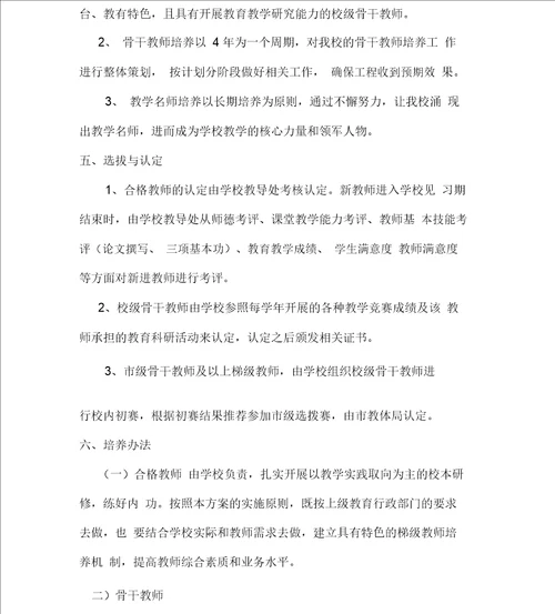 学校梯级式教师培养方案