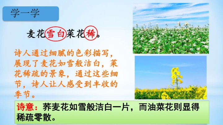 统编版四年级下册语文同步备课系列四时田园杂兴（其二十五）(教学课件)