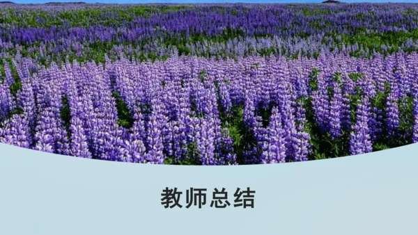 第六单元 课外古诗词诵读 题破山寺后禅院 课件