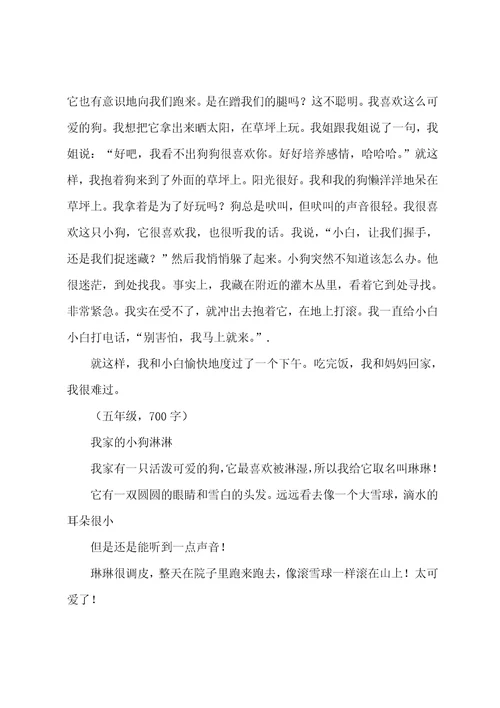 四年级小狗作文大全