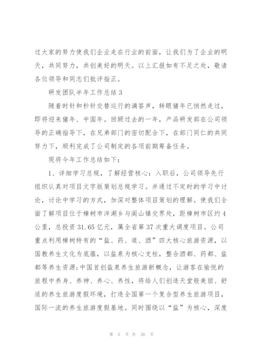 研发团队半年工作总结5篇.docx