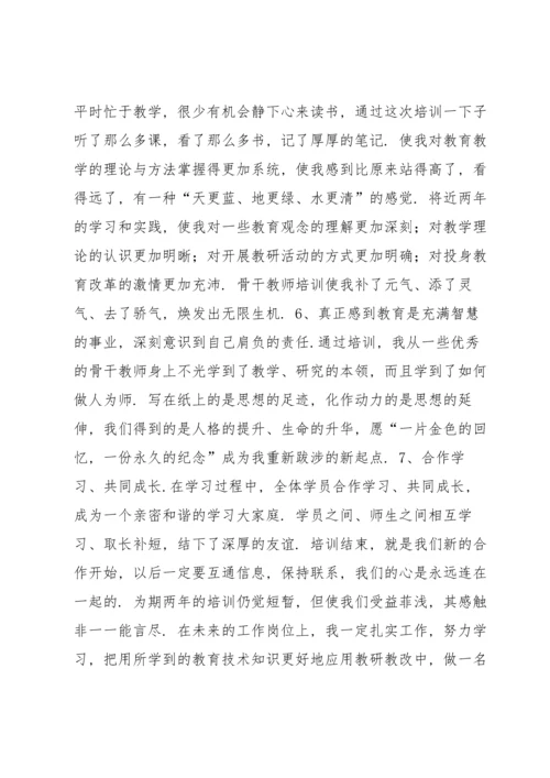 农村骨干教师培训个人工作总结.docx