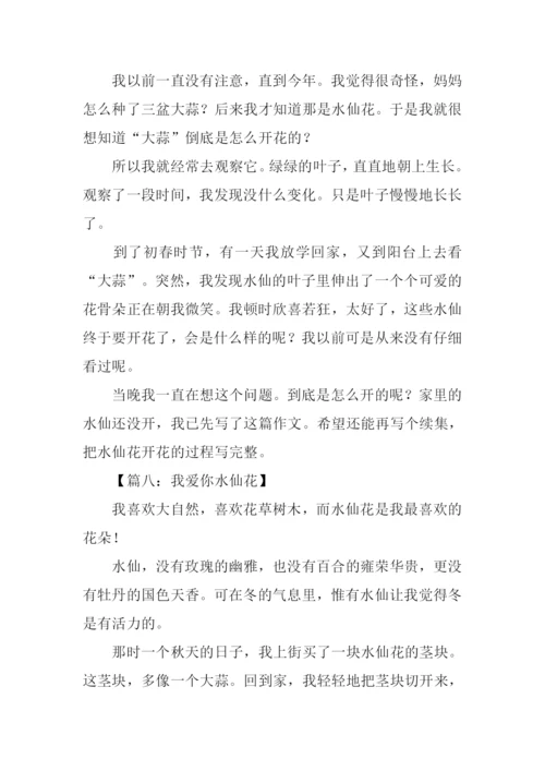 我爱你水仙花作文.docx