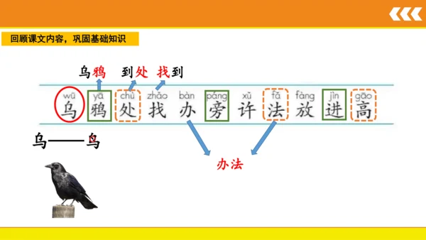 13乌鸦喝水  课件